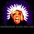 Black Hole Sun